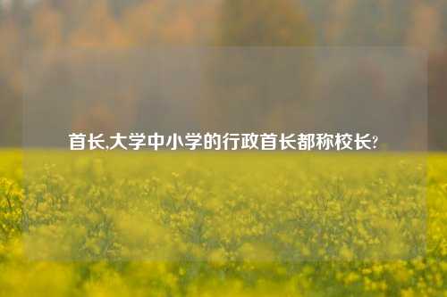 首长,大学中小学的行政首长都称校长?