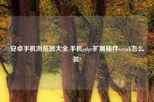安卓手机浏览器大全,手机edge扩展插件wetab怎么装?