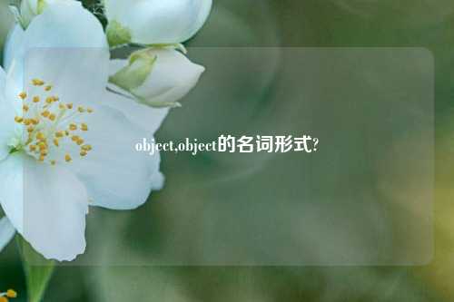 object,object的名词形式?