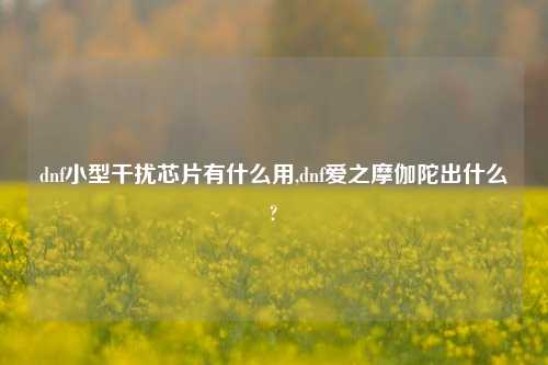 dnf小型干扰芯片有什么用,dnf爱之摩伽陀出什么?