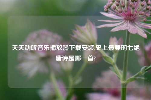 天天动听音乐播放器怎么玩安装,史上最美的七绝唐诗是哪一首?