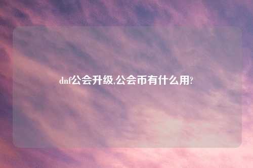 dnf公会升级,公会币有什么用?