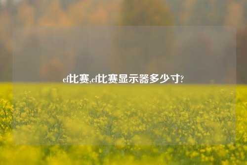 cf比赛,cf比赛显示器多少寸?