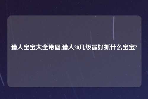 猎人宝宝大全带图,猎人20几级最好抓什么宝宝?