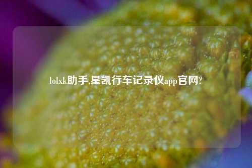 lolxk助手,星凯行车记录仪app官网?