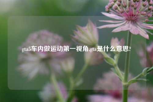 gta5车内做运动第一视角,gta是什么意思?