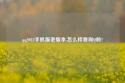 qq2012手机版老版本,怎么样查询Q龄?