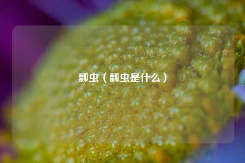 瓢虫（瓢虫是什么）