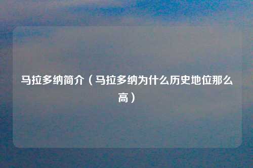 马拉多纳简介（马拉多纳为什么历史地位那么高）