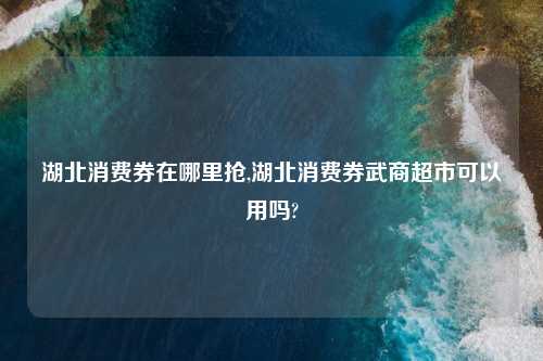 湖北消费券在哪里抢,湖北消费券武商超市可以用吗?