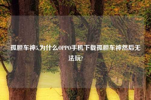 孤胆车神5,为什么OPPO手机下载孤胆车神然后无法玩?