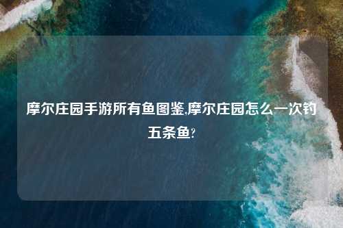 摩尔庄园手游所有鱼图鉴,摩尔庄园怎么一次钓五条鱼?