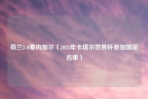荷兰2-0塞内加尔（2022年卡塔尔世界杯参加国家名单）
