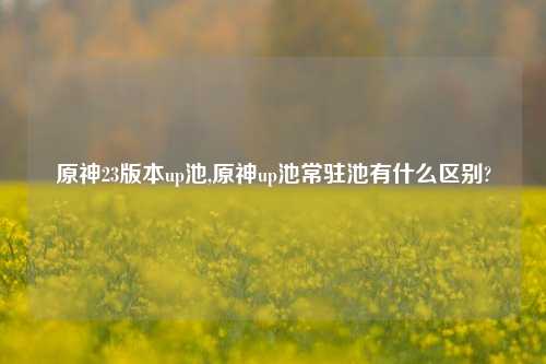 原神23版本up池,原神up池常驻池有什么区别?