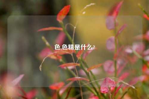 色,色精是什么?