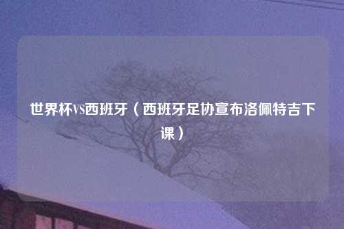 世界杯VS西班牙（西班牙足协宣布洛佩特吉下课）
