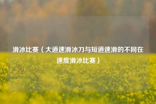 滑冰比赛（大道速滑冰刀与短道速滑的不同在速度滑冰比赛）