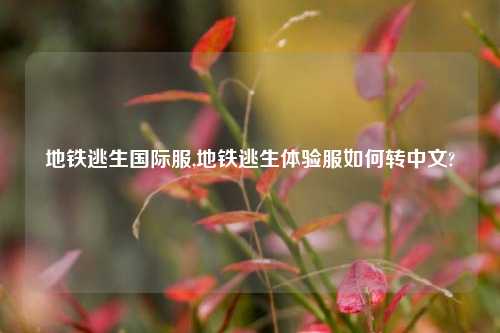 地铁逃生国际服,地铁逃生体验服如何转中文?