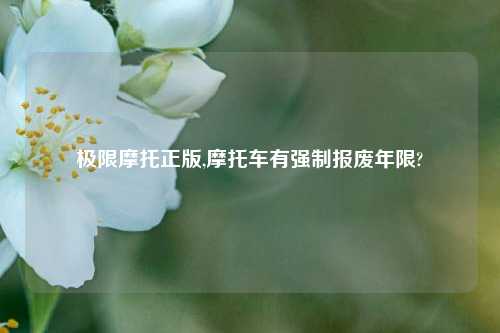 极限摩托正版,摩托车有强制报废年限?