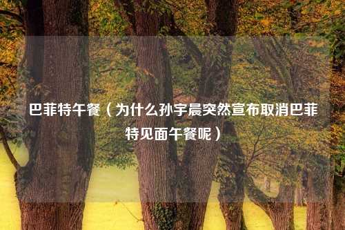 巴菲特午餐（为什么孙宇晨突然宣布取消巴菲特见面午餐呢）