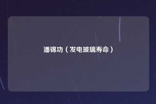 潘锦功（发电玻璃寿命）