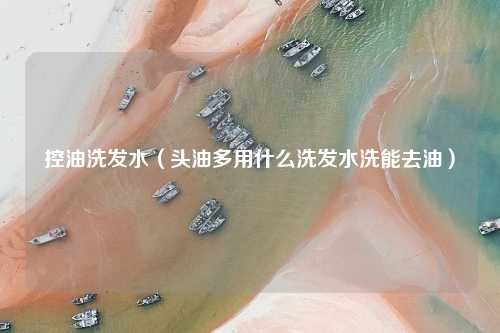 控油洗发水（头油多用什么洗发水洗能去油）