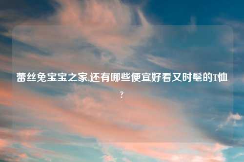 蕾丝兔宝宝之家,还有哪些便宜好看又时髦的T恤?