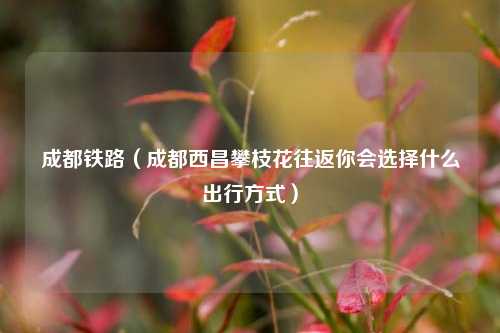 成都铁路（成都西昌攀枝花往返你会选择什么出行方式）