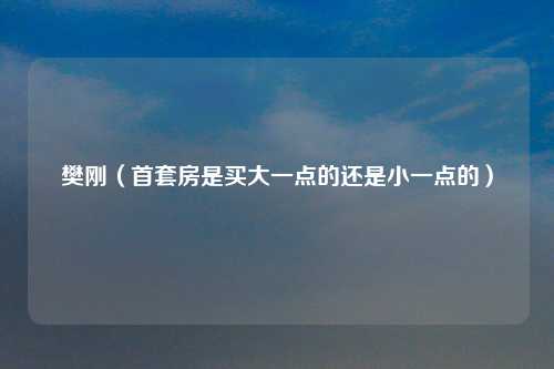 樊刚（首套房是买大一点的还是小一点的）