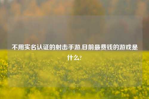 不用实名认证的射击手游,目前最费钱的游戏是什么?