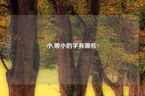 小,带小的字有哪些?