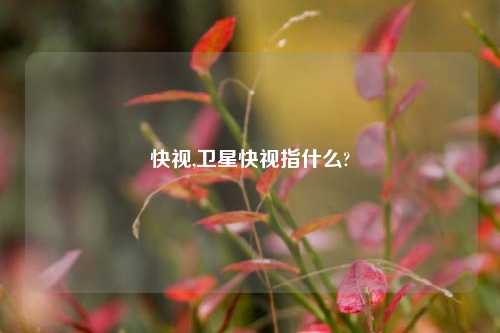 快视,卫星快视指什么?
