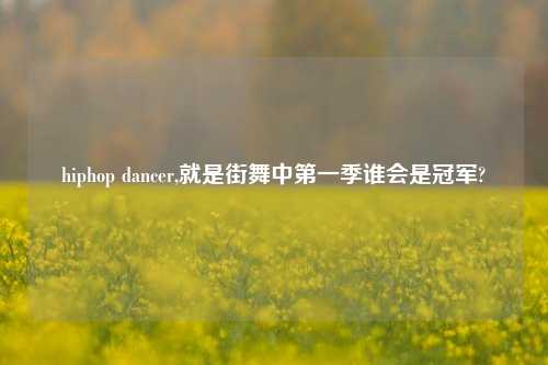 hiphop dancer,就是街舞中第一季谁会是冠军?
