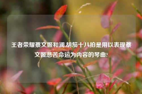王者荣耀蔡文姬和澜,胡笳十八拍是用以表现蔡文姬悲苦命运为内容的琴曲?