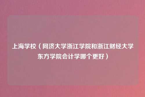 上海学校（同济大学浙江学院和浙江财经大学东方学院会计学哪个更好）