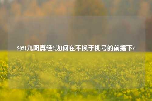 2021九阴真经2,如何在不换手机号的前提下?