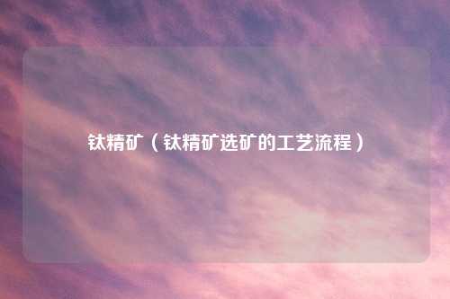 钛精矿（钛精矿选矿的工艺流程）