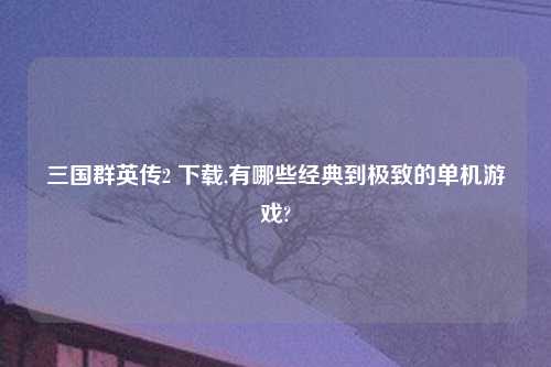 三国群英传2 下载,有哪些经典到极致的单机游戏?