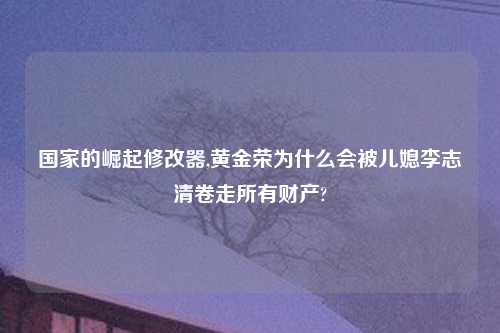 国家的崛起修改器,黄金荣为什么会被儿媳李志清卷走所有财产?