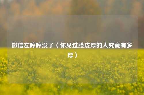 微信左哼哼没了（你见过脸皮厚的人究竟有多厚）