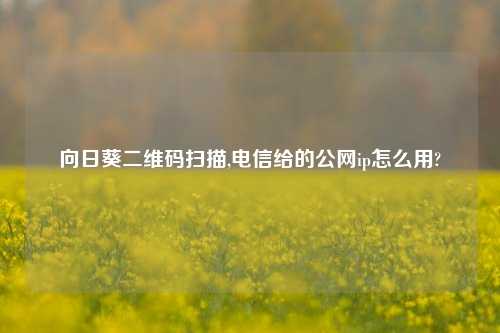向日葵二维码扫描,电信给的公网ip怎么用?