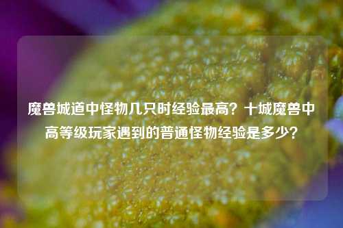 魔兽城道中怪物几只时经验最高？十城魔兽中高等级玩家遇到的普通怪物经验是多少？