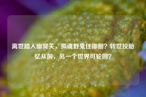 离世踏入幽冥关，孤魂野鬼任徘徊？转世投胎忆从前，另一个世界可轮回？
