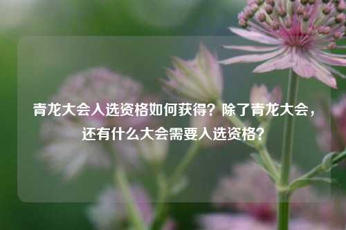 青龙大会入选资格如何获得？除了青龙大会，还有什么大会需要入选资格？