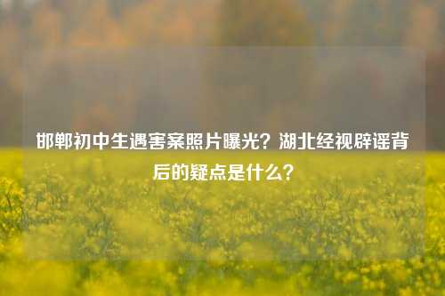 邯郸初中生遇害案照片曝光？湖北经视辟谣背后的疑点是什么？