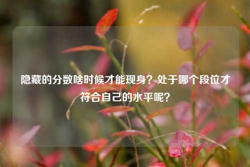 隐藏的分数啥时候才能现身？处于哪个段位才符合自己的水平呢？