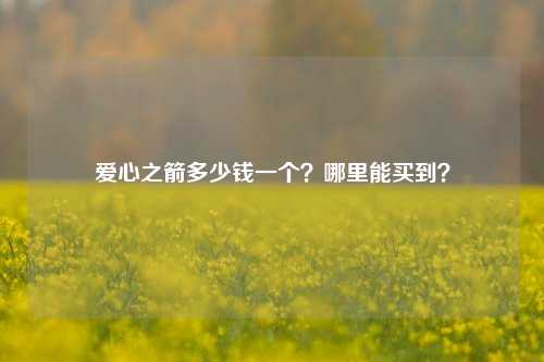爱心之箭多少钱一个？哪里能买到？
