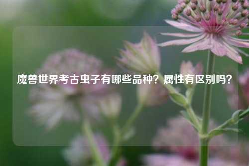 魔兽世界考古虫子有哪些品种？属性有区别吗？