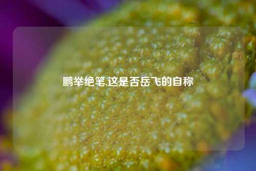 鹏举绝笔,这是否岳飞的自称
