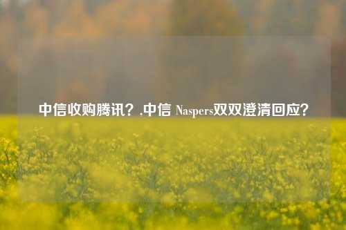 中信收购腾讯？,中信 Naspers双双澄清回应？